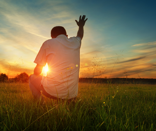 A Living Memorial | Day 2 Freedom Season Devotional