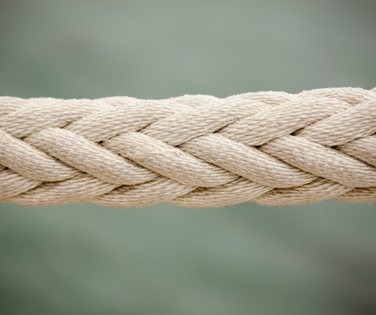 A Cord of Three Strands | Day 23 Freedom Season Devotional