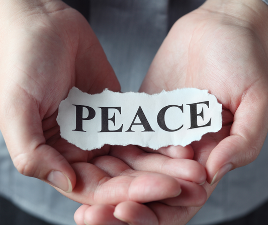 Blessed are the Peacemakers | Day 25 Freedom Season Devotional