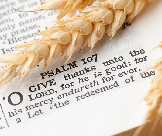 Give Thanks in All Things | Day 29 Freedom Season Devotional
