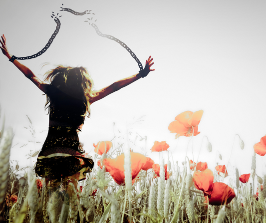Created to Be Free | Day 8 Freedom Season Devotional