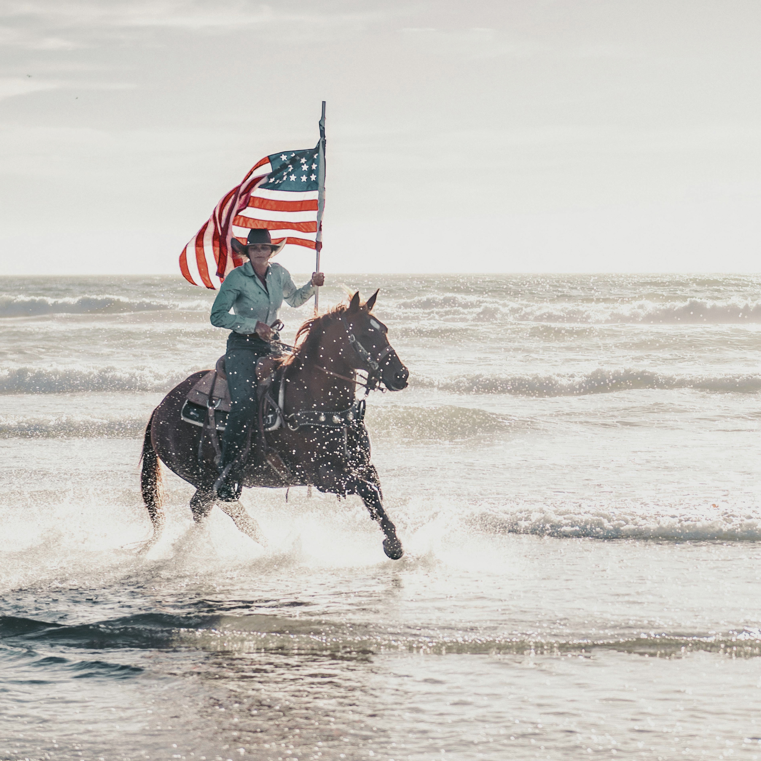 Freedom Collection