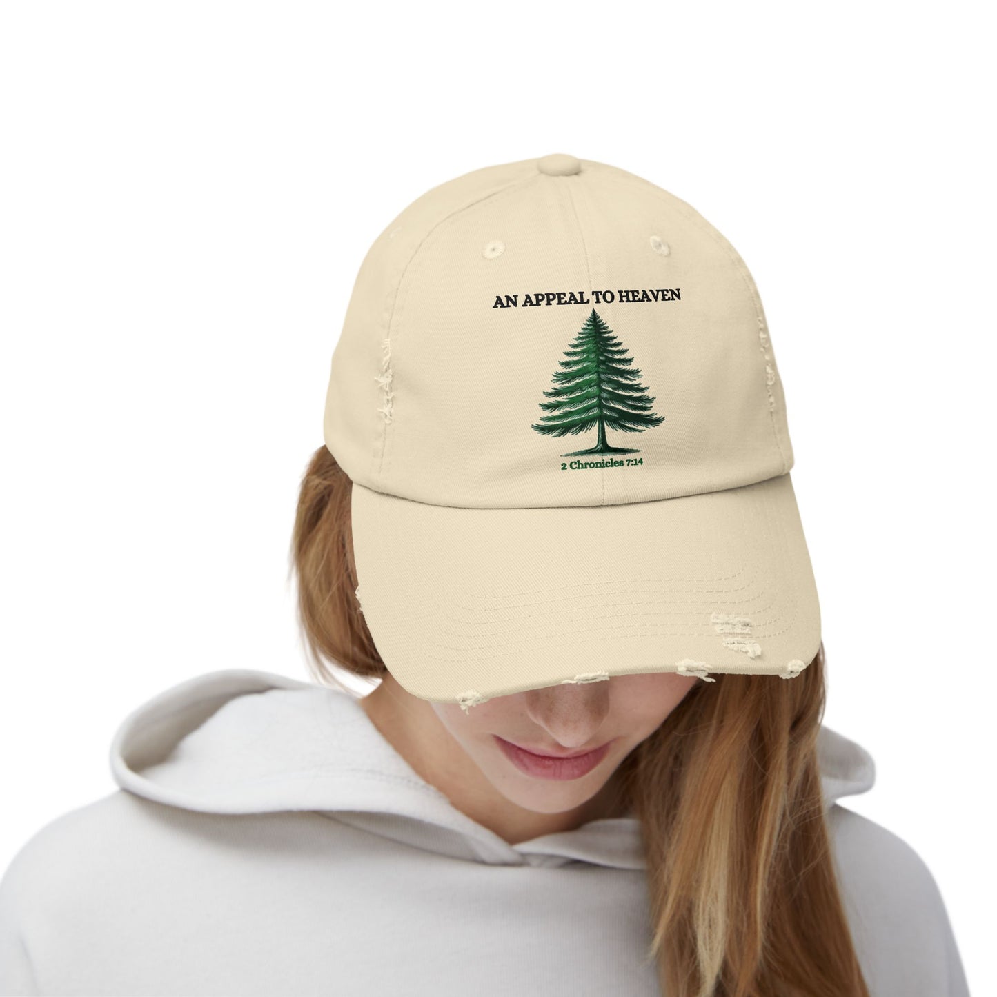 An Appeal to Heaven - Vintage Distressed Cap